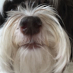 Meet your Posher, Mckenna